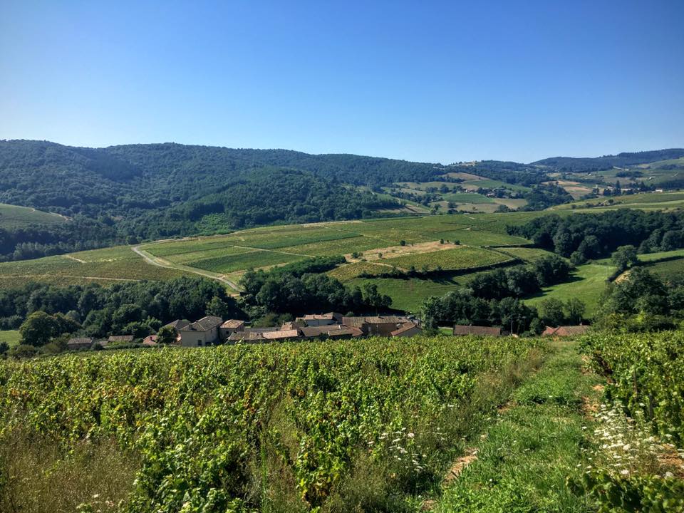 Camping à la Ferme Domaine Franck Besson