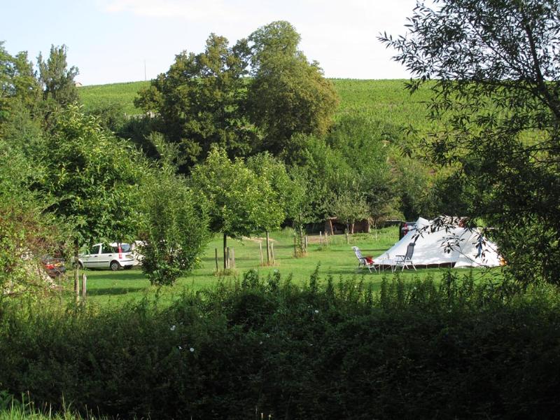 Camping à la Ferme Domaine Franck Besson