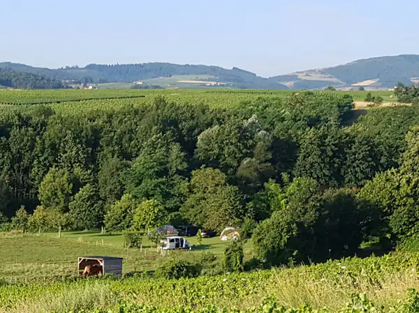 Camping à la Ferme Domaine Franck Besson