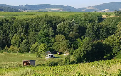 Camping à la Ferme Domaine Franck Besson