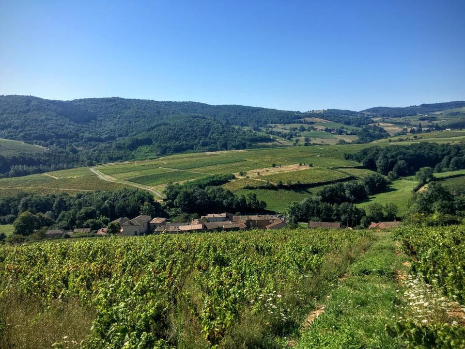 Camping à la Ferme Domaine Franck Besson - Blick in die Umgebung des Campingplatzes