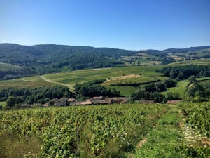 Camping à la Ferme Domaine Franck Besson - Blick in die Umgebung des Campingplatzes
