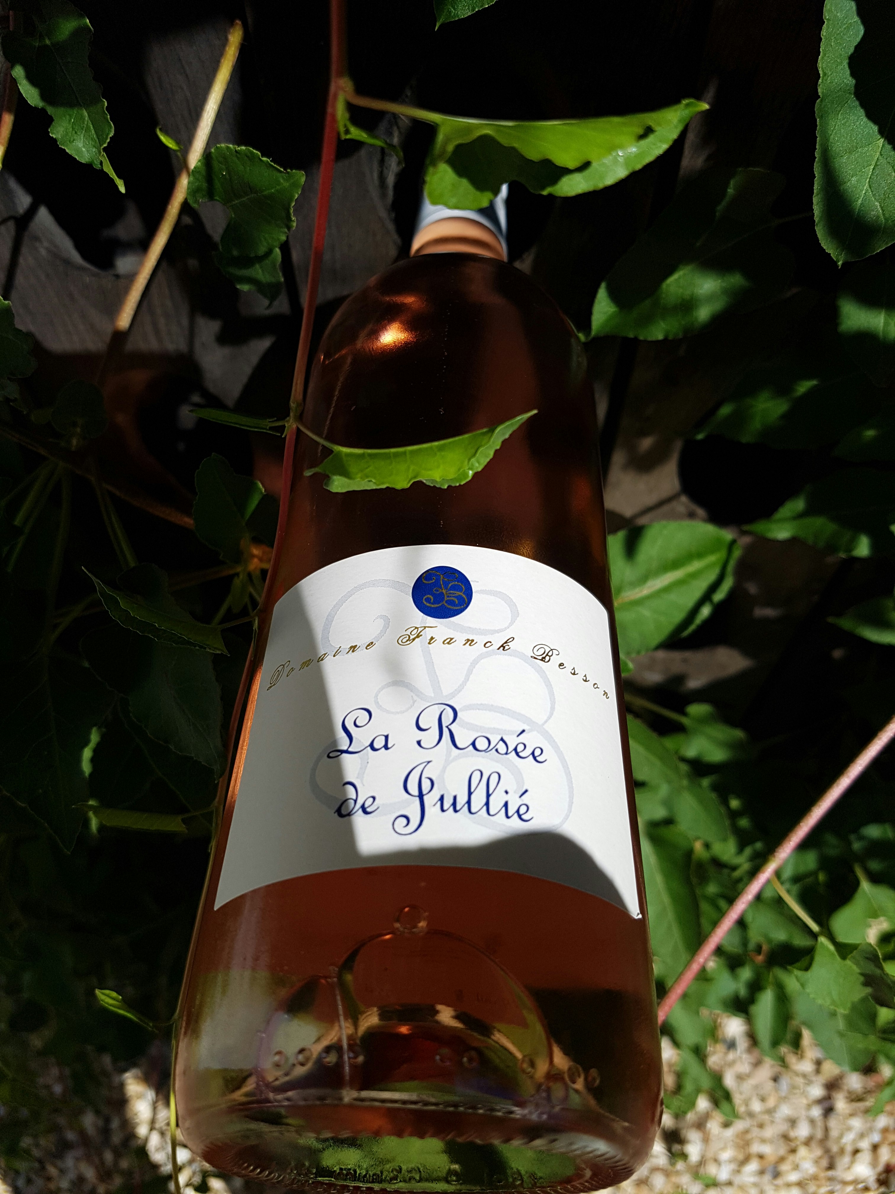 Camping à la Ferme Domaine Franck Besson - Eigener Wein des Campingplatzes