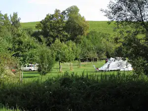 Campingzelt im Grünen auf einem Stellplatz, umgeben von Bäumen und Wiese, im Hintergrund ein Auto.