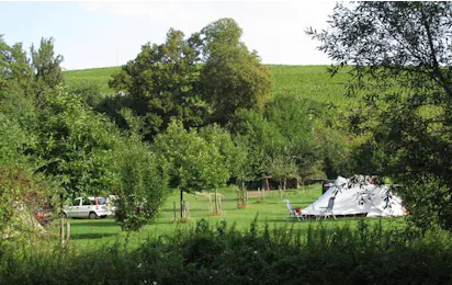 Camping à la Ferme Domaine Franck Besson