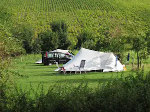 Campingzelt mit Stühlen und Tisch auf einer Wiese, im Hintergrund ein Auto und Weinreben am Hang.