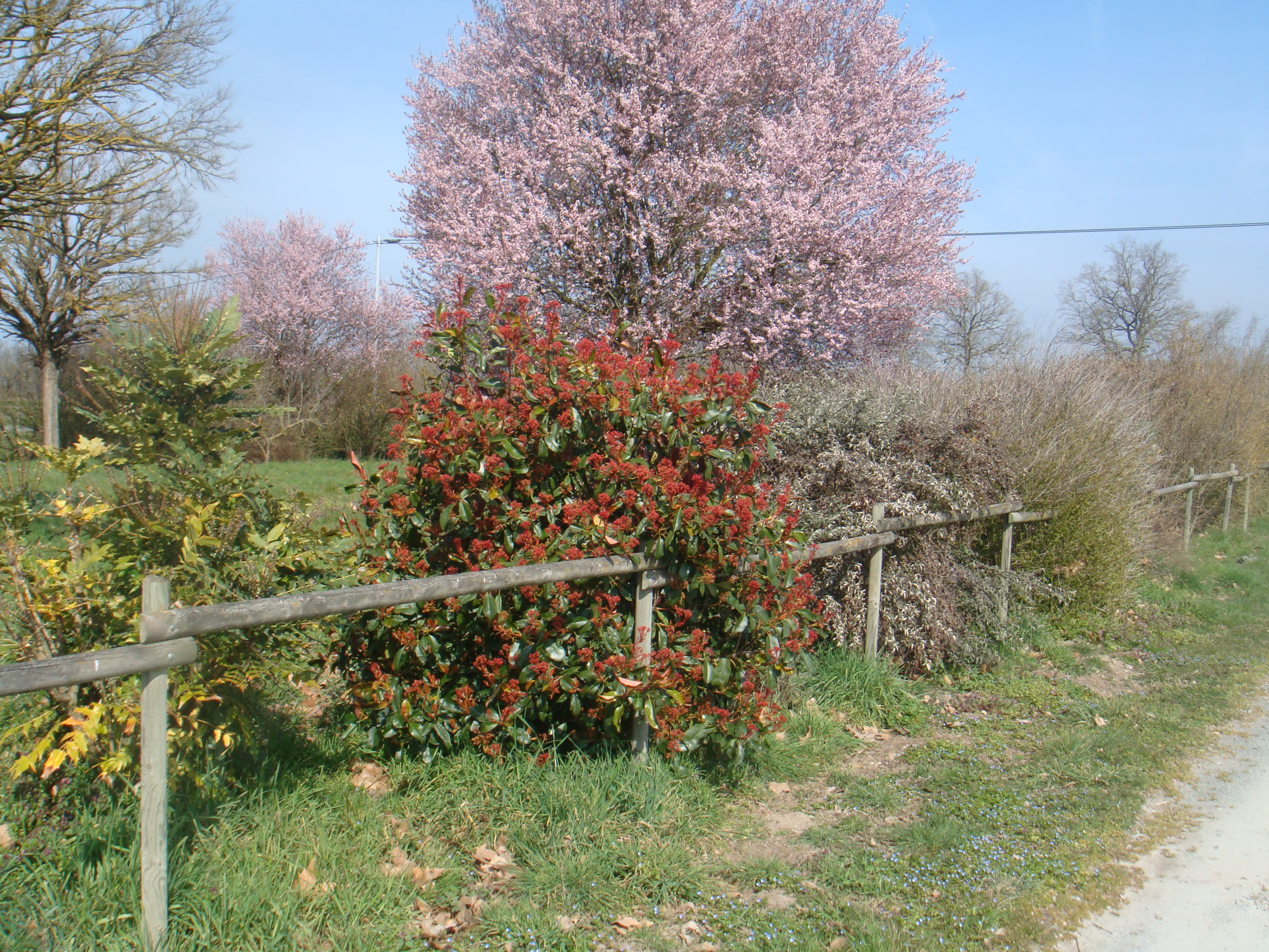 Camping à la ferme, Les Rivières