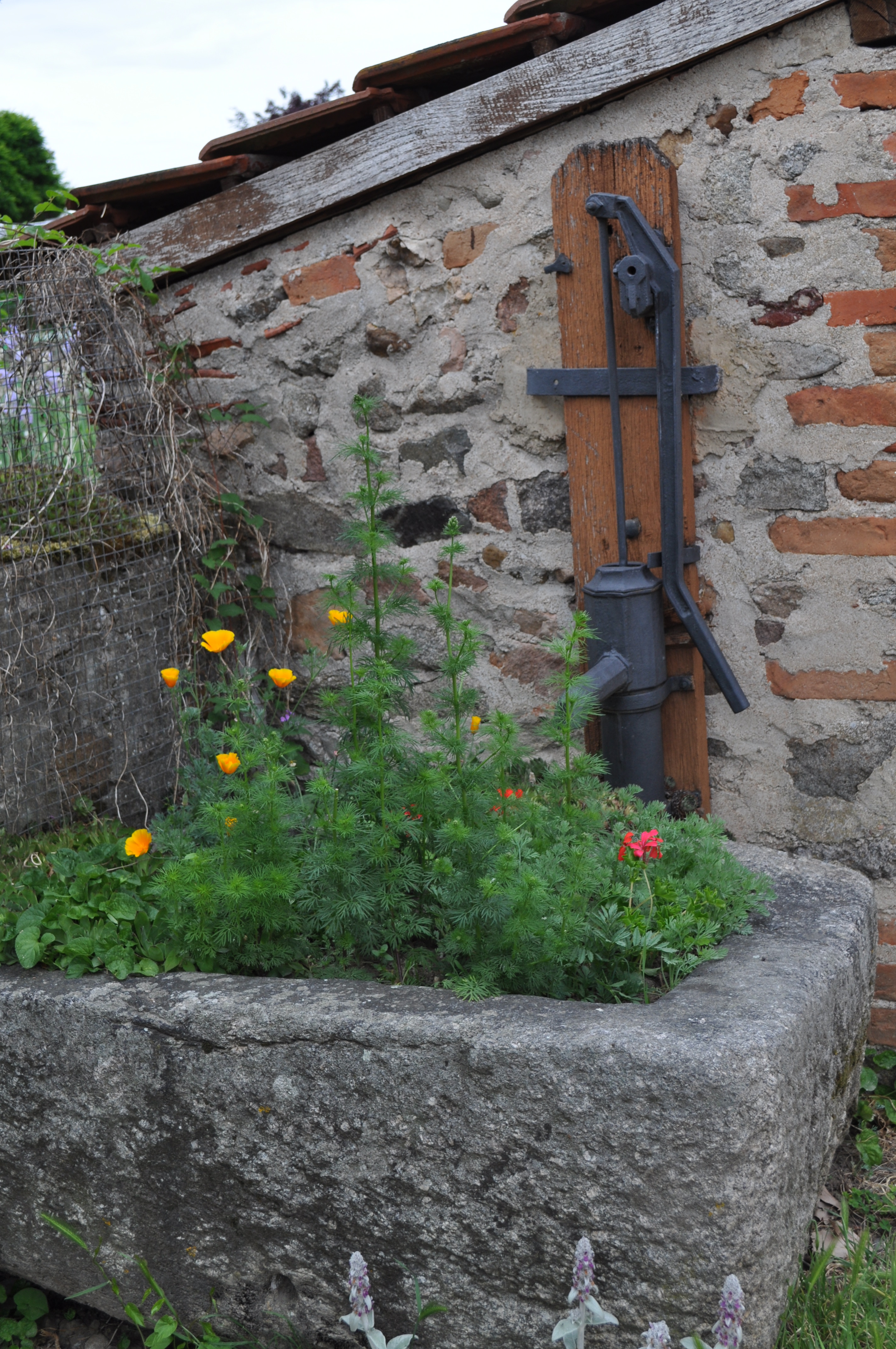 Camping à la ferme, Les Rivières