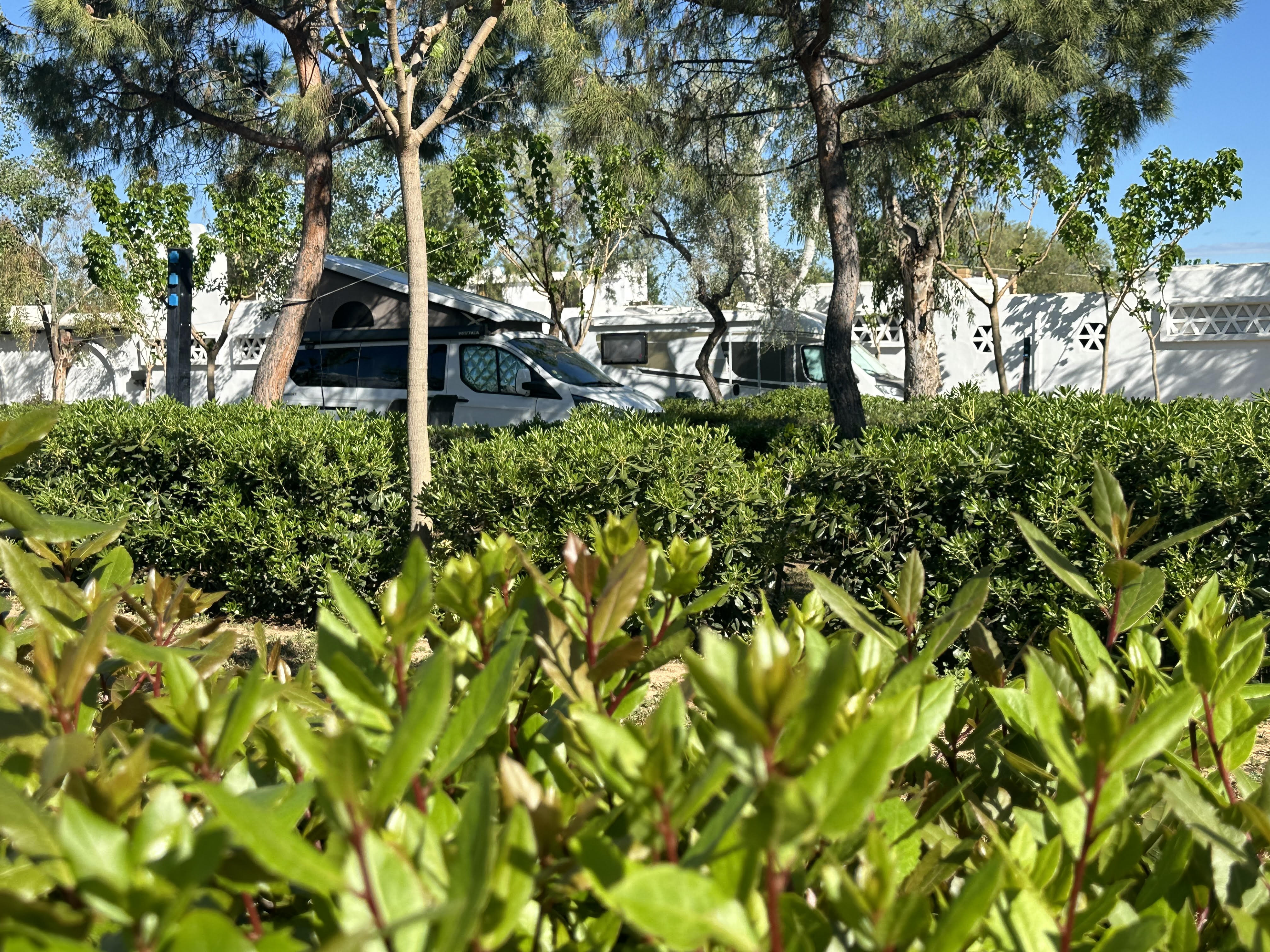 Oelia Camping & Bungalows