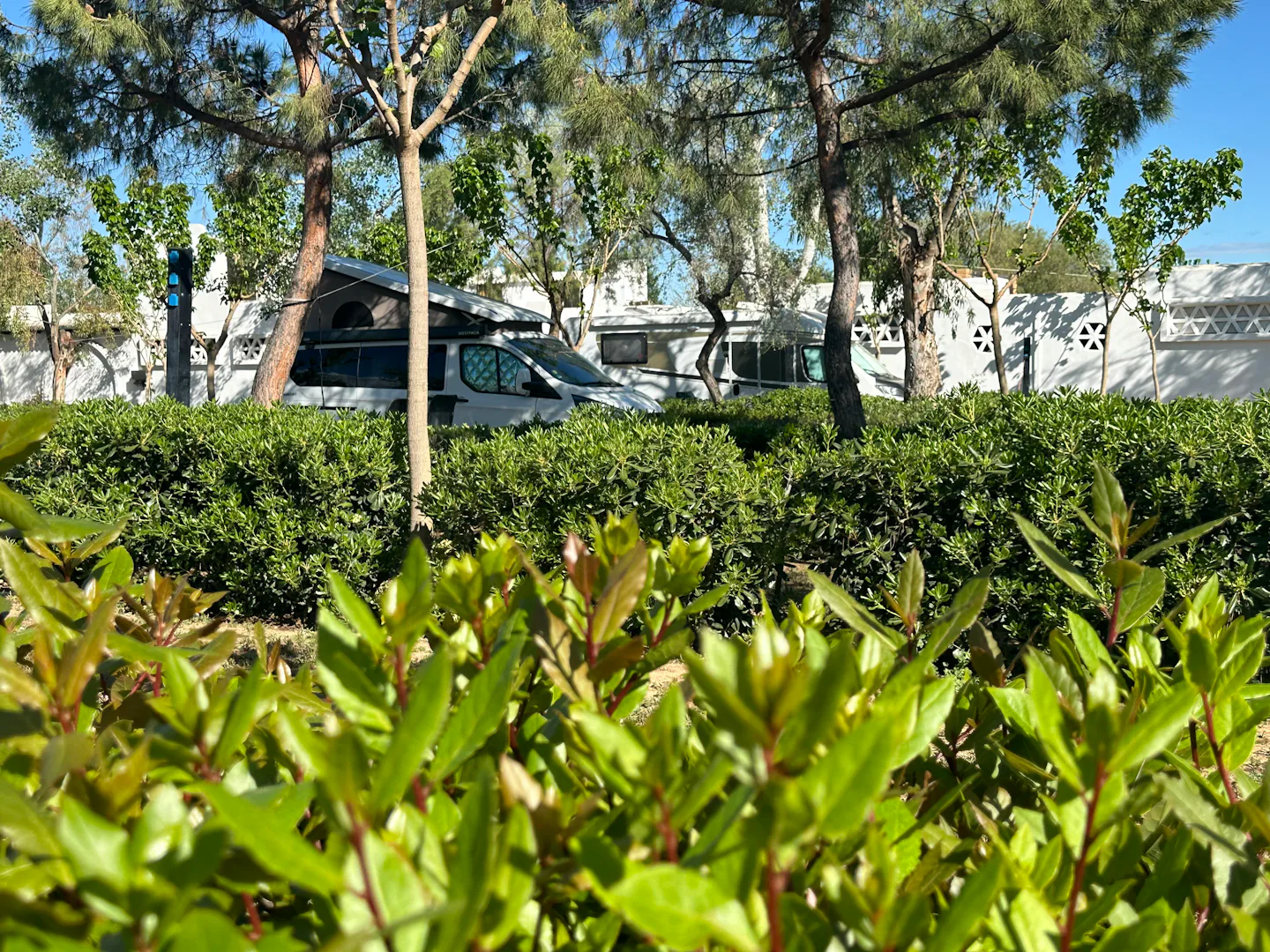 Oelia Camping & Bungalows