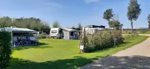 Wohnwagen und Campingbusse auf einem grünen Stellplatz, mit Kiesweg, Bäumen und Hecken im Hintergrund.