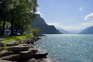 Camping Aaregg - Blick auf das Ufer des Brienzersees mit Stellplätzen unter Bäumen an der Seite