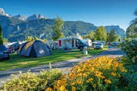 Camping Aaregg - Strasse des Campingplatzes mit Wohnwagen- und Zeltstellplätzen daran