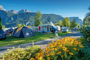 Camping Aaregg - Strasse des Campingplatzes mit Wohnwagen- und Zeltstellplätzen daran