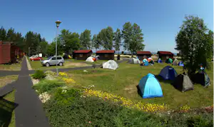 Campingplatz mit mehreren Zelten auf einer Rasenfläche, Wohnwagen und Autos am Rand, Bäume und Wege im Hintergrund.