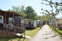 Camping Acedo  - Mobilheime mit Veranda auf dem Campingplatz