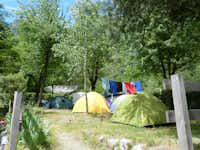 Camping Acquafraggia - Campingbereich für Zeltplatz unter Bäumen auf dem Campingplatz