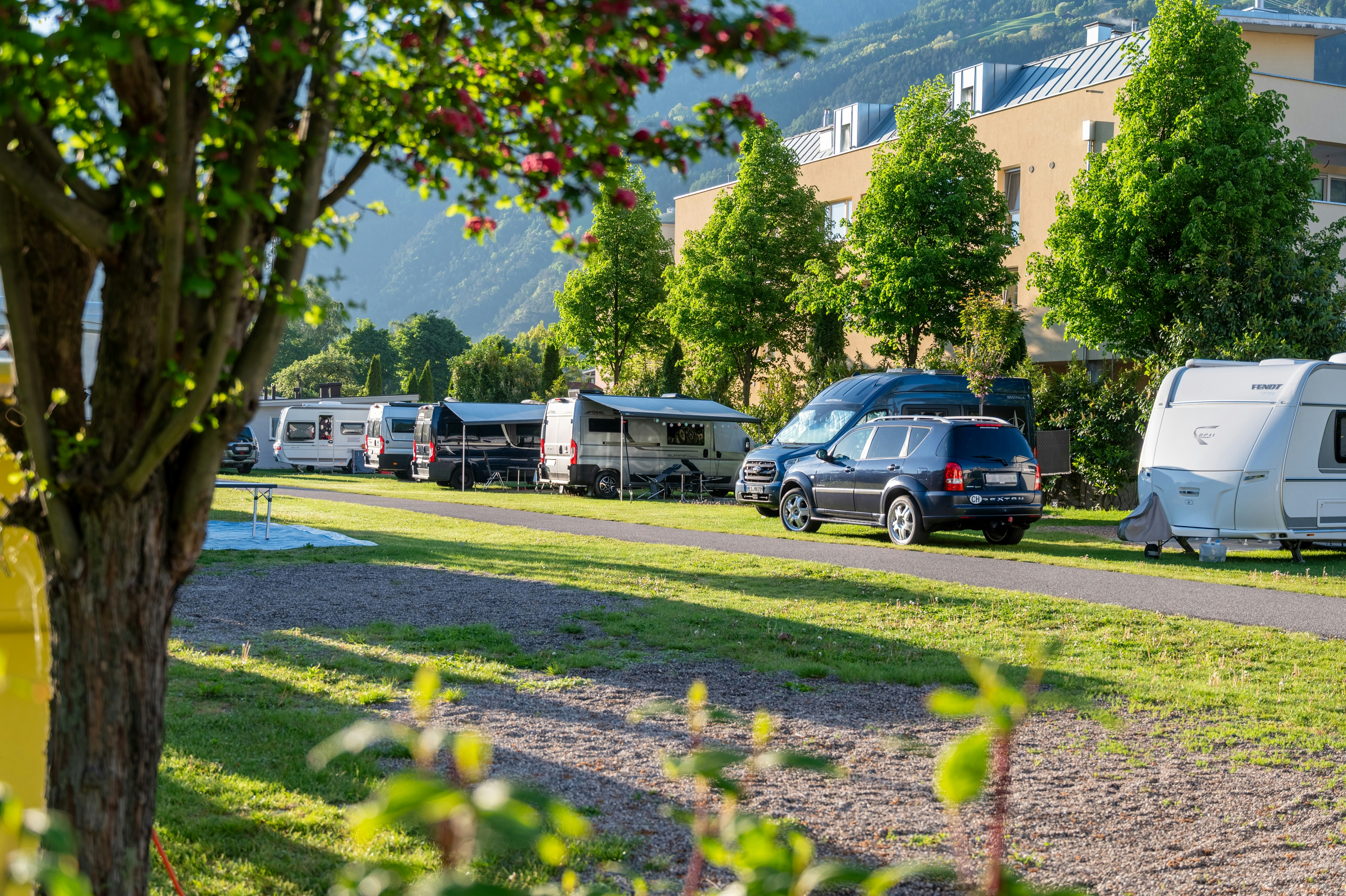 Camping Adler - Blick auf die Standplätze auf dem Campingplatz