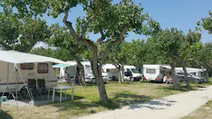 Campingplatz mit Wohnmobilen und Zelten auf Stellplätzen, Tisch und Stühle unter Bäumen am Weg.