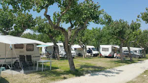 Camping Adria Riccione