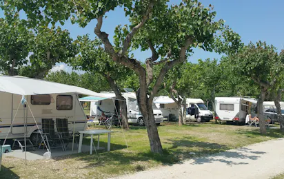Camping Adria Riccione