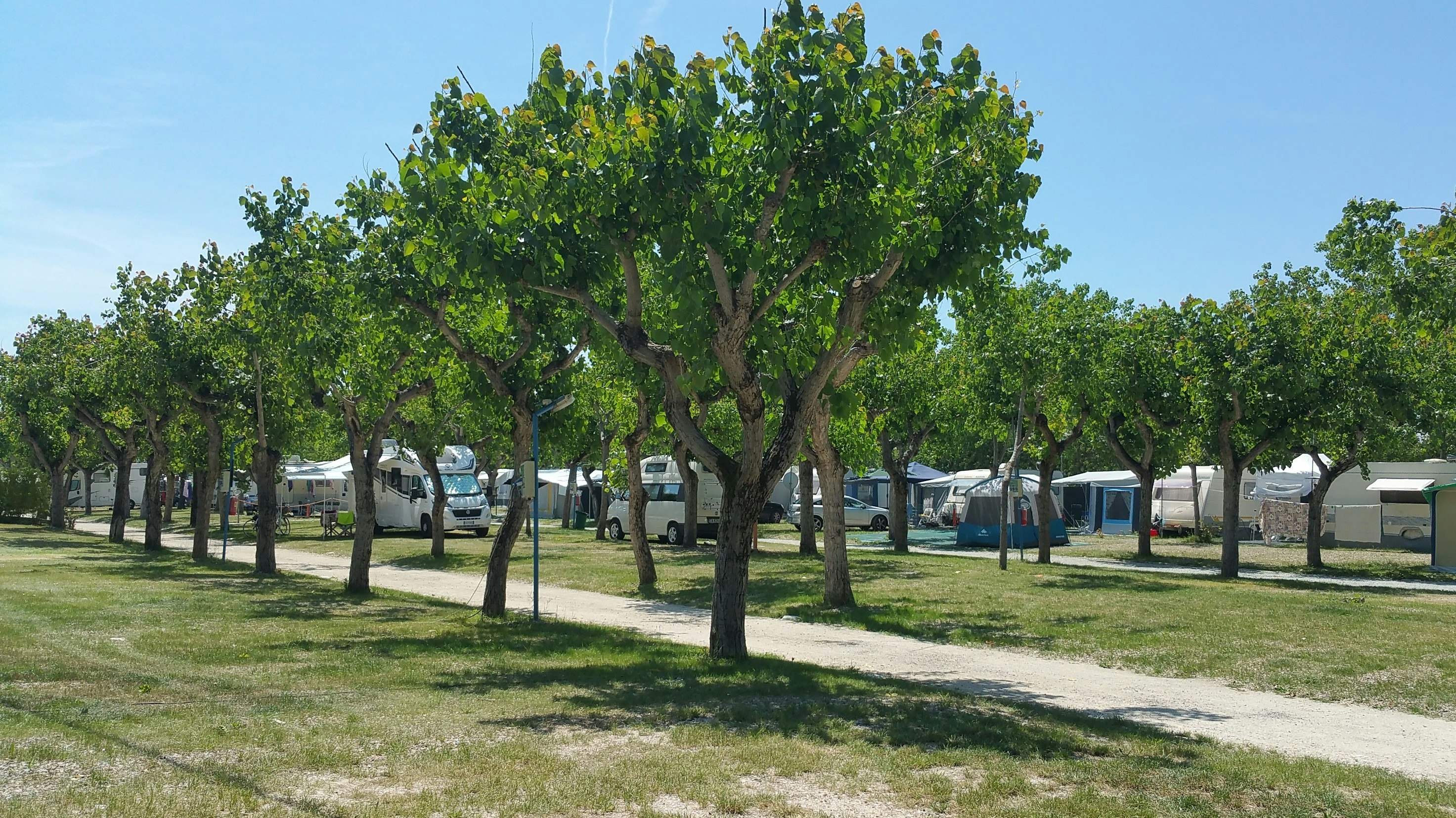 Camping Adria Riccione