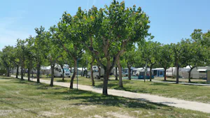 Camping Adria Riccione