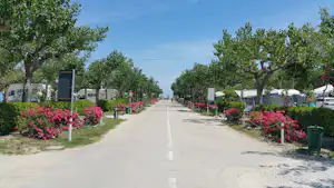 Allee auf dem Campingplatz mit Bäumen, gepflegten Blumenbeeten und grünen Mülltonnen entlang des Weges.