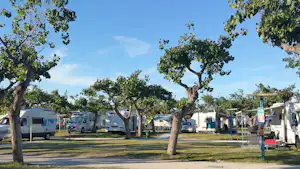 Wohnmobile auf Stellplätzen im Campingpark, umgeben von Bäumen, mit Wegen und mehreren Fahrzeugen im Hintergrund.