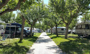 Camping Adria Riccione