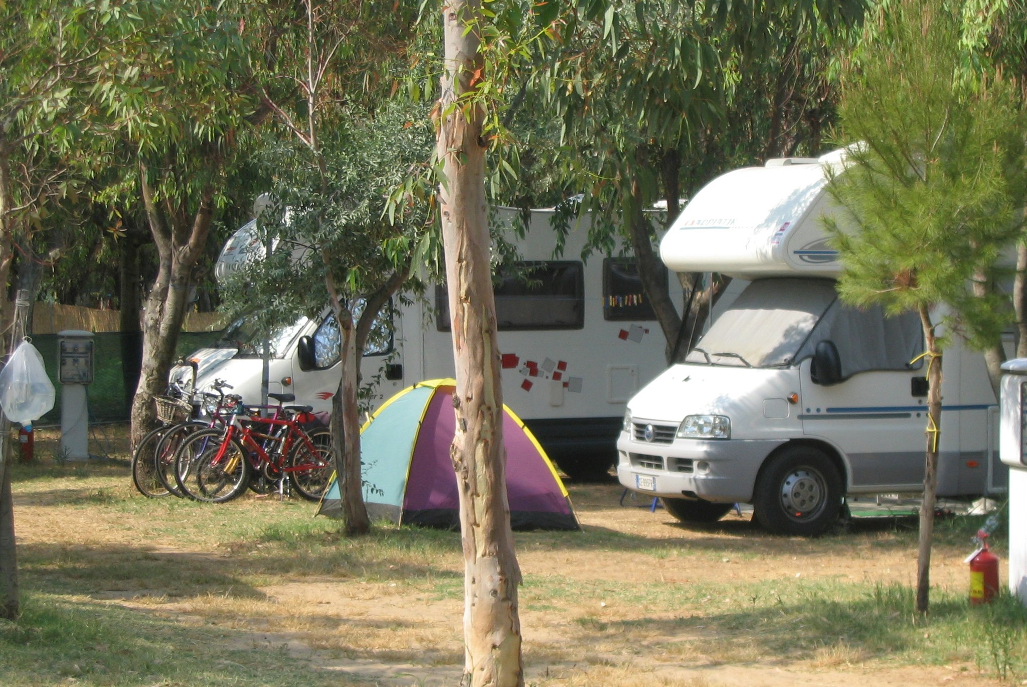 Camping Adriatico - Standplätze auf dem Campingplatz