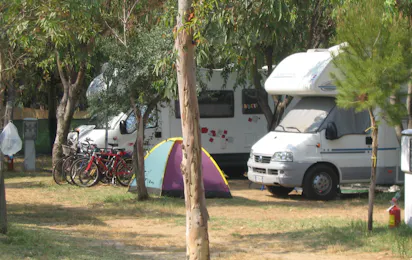 Camping Adriatico