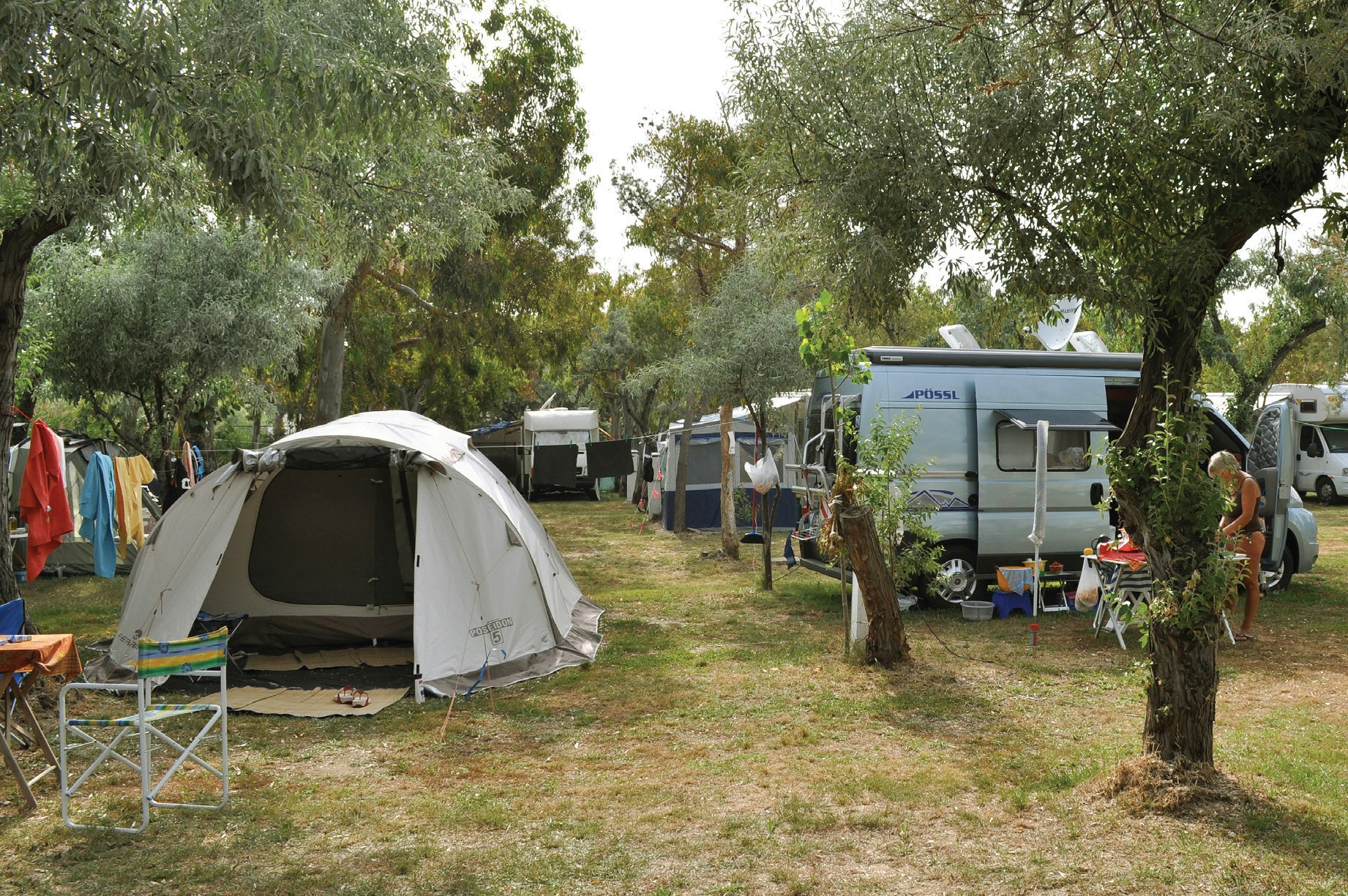 Camping Adriatico - Standplätze zwischen den Bäumen auf dem Campingplatz