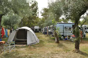 Camping Adriatico - Standplätze zwischen den Bäumen auf dem Campingplatz