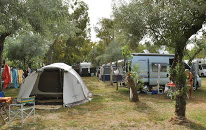 Camping Adriatico
