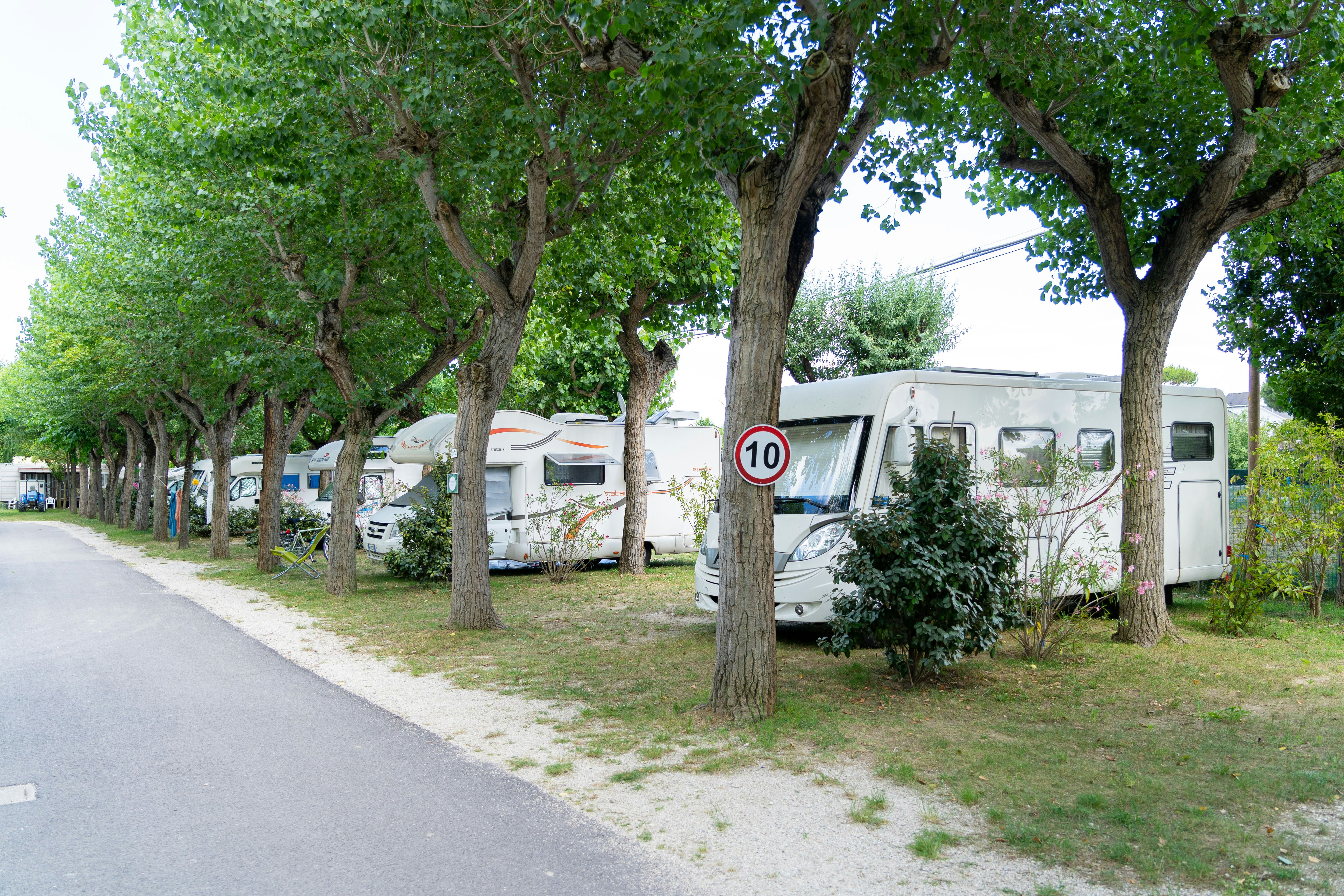 Camping Adriatico - Standplätze auf dem Campingplatz