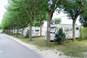 Camping Adriatico - Standplätze auf dem Campingplatz