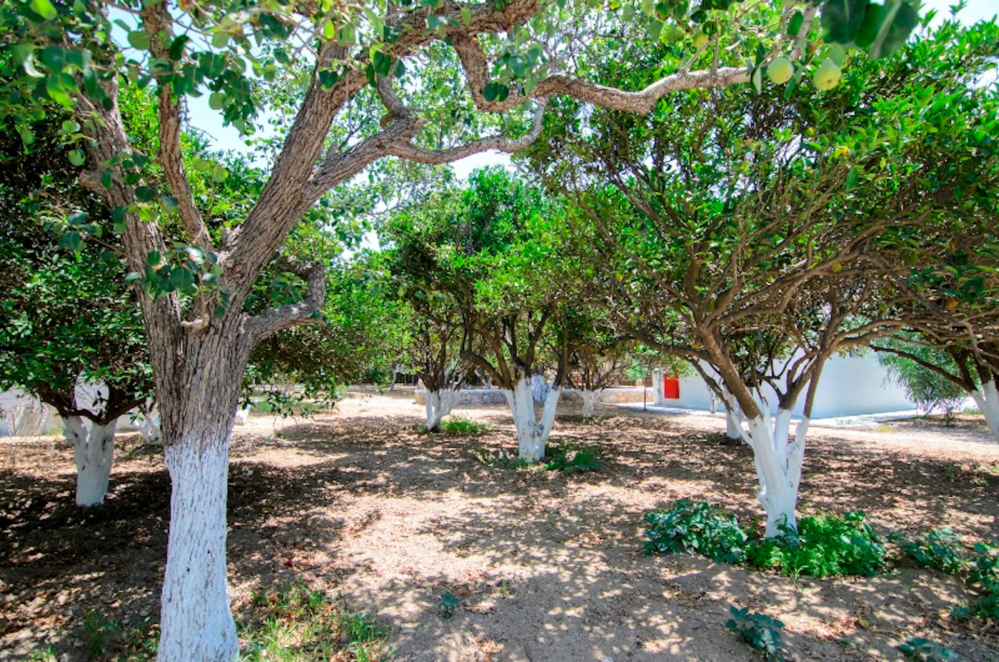 Aegiali Camping