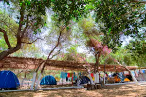 Zeltplatz im Schatten von Bäumen mit mehreren blauen Zelten, Campingstühlen und Wäscheleine zwischen den Bäumen.