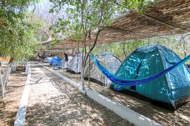 Blaues Zelt auf einem gepflasterten Stellplatz am Campingplatz, daneben weitere Zelte unter Schattendächern und Bäumen.