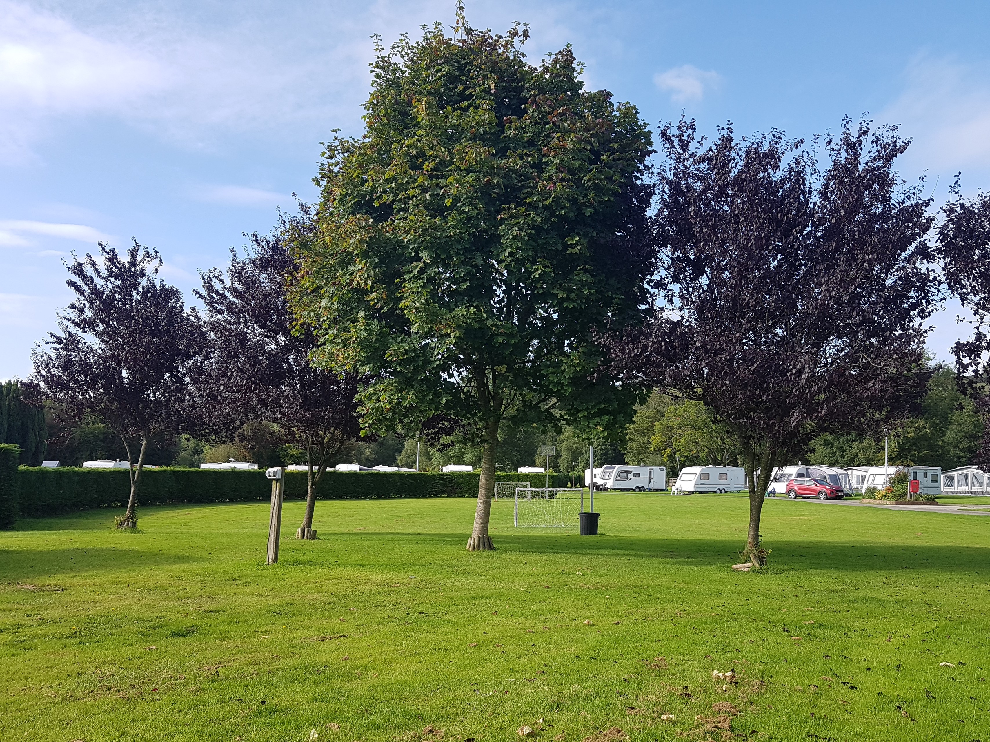 Afon Teifi Caravan & Camping Park