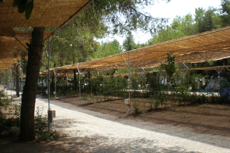 Camping Agía Anna  - überdachter Stellplatz vom Campingplatz