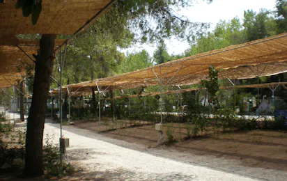 Camping Agía Anna
