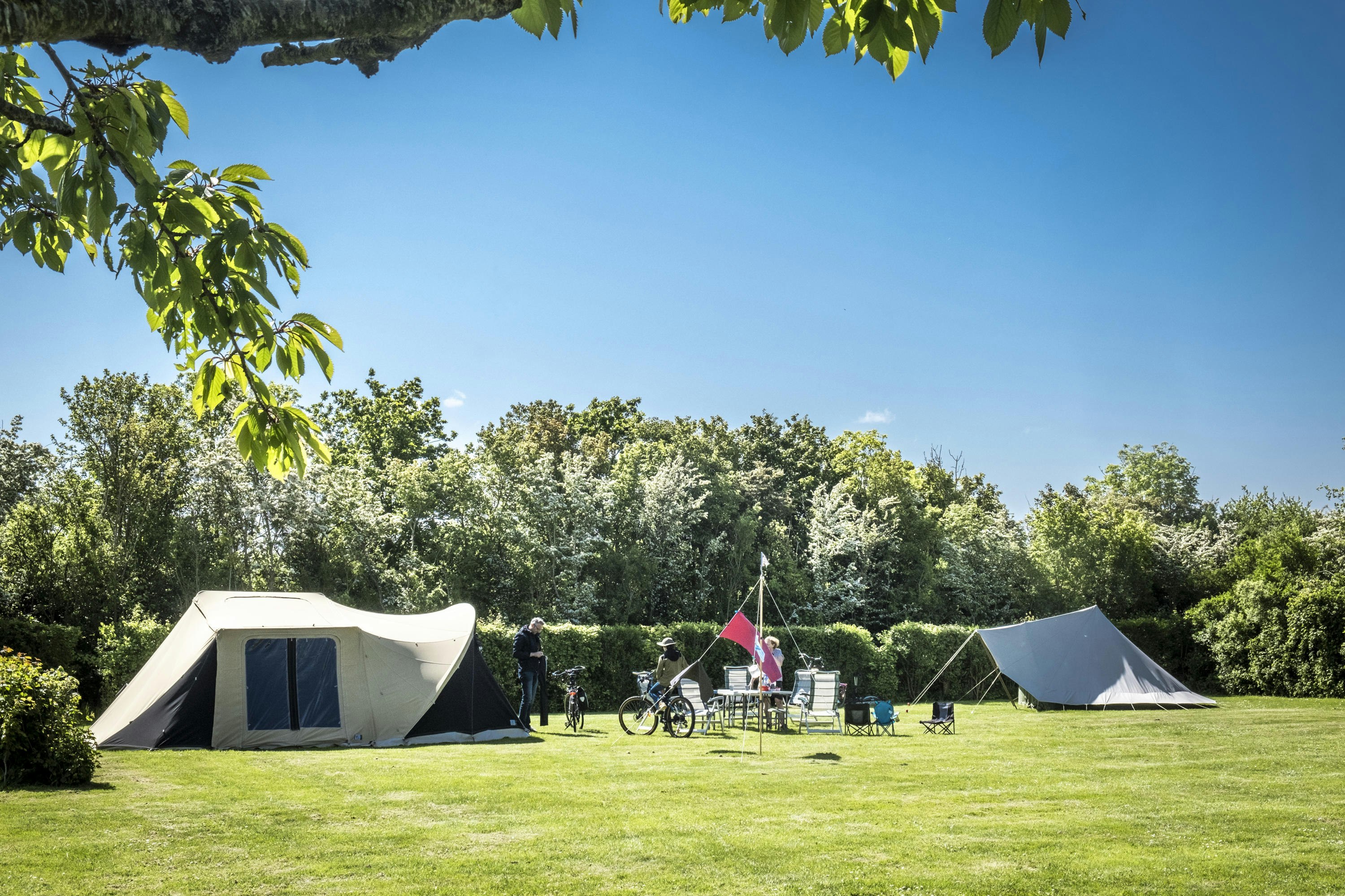 Camping Agri-Nova - Zeltplätze auf der Wiese