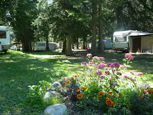 Camping Aiguille Noire - Wohnmobilstellplätze im Schatten der Bäume auf dem Campingplatz