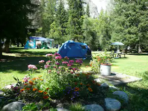 Camping Aiguille Noire - Zelt- und Wohnmobilstellplätze im Schatten der Bäume