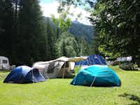 Camping Aiguille Noire - Zeltplätze auf der Wiese umringt von Wald