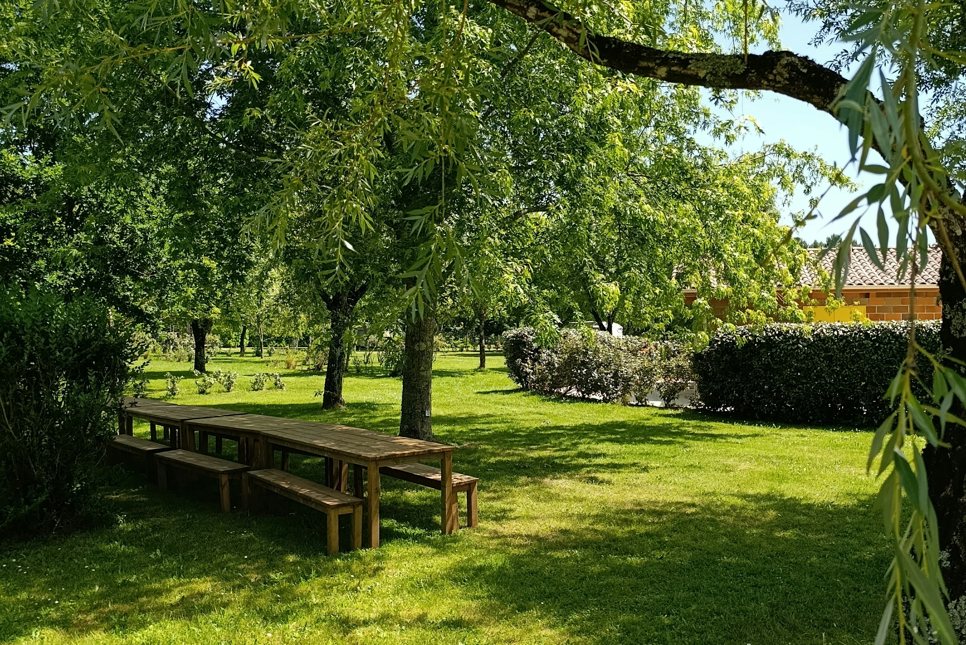 Grüner Campinggarten mit Rasen, Bäumen und einer Holzbank am Weg, Hecke und gelbes Gebäude im Hintergrund.