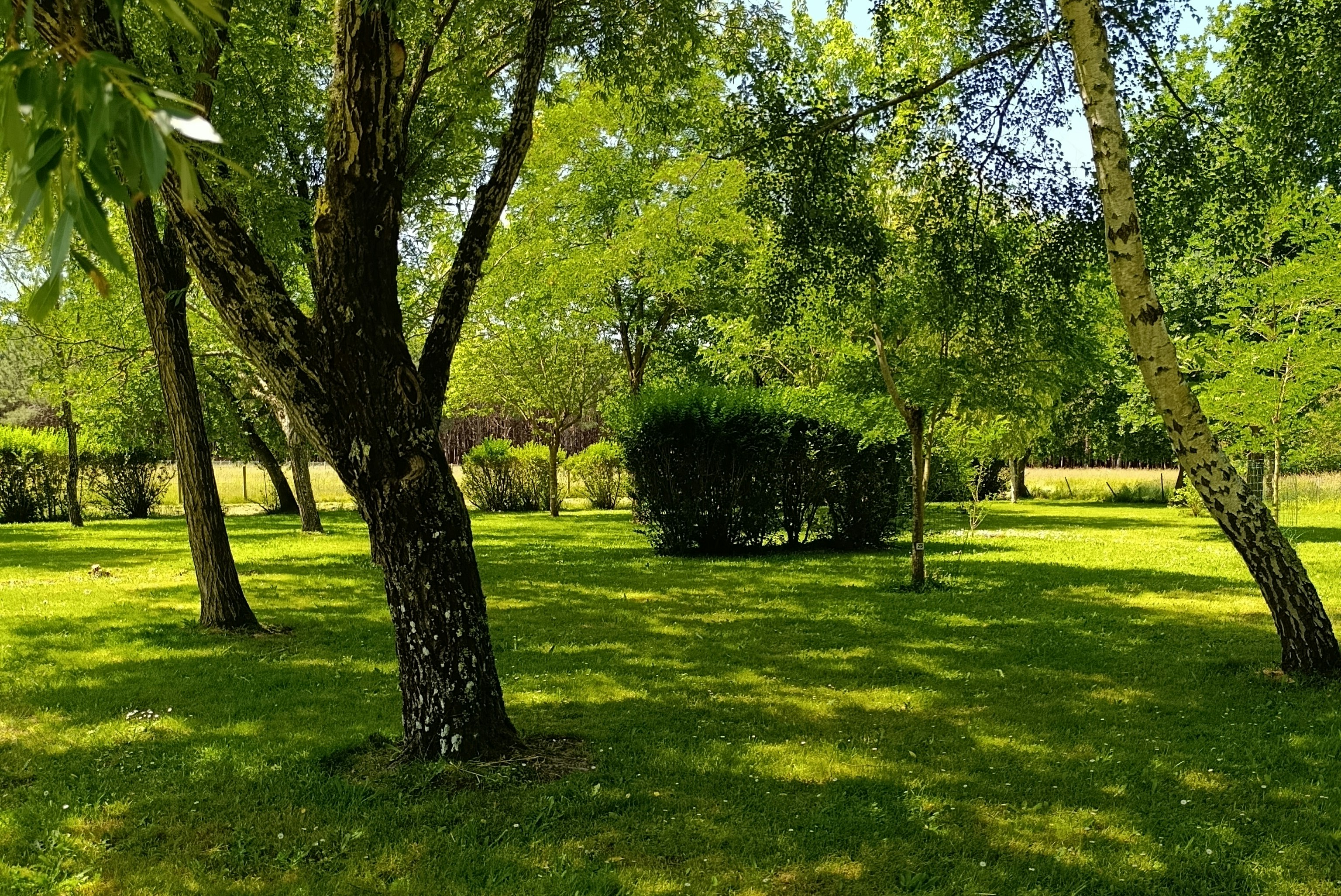 Camping Aire naturelle l'Alouette