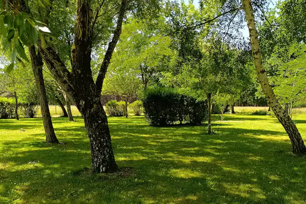 Camping Aire naturelle l'Alouette